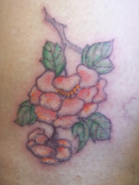 chrysanthemum flower tattoo. fatsia and chrysanthemum.