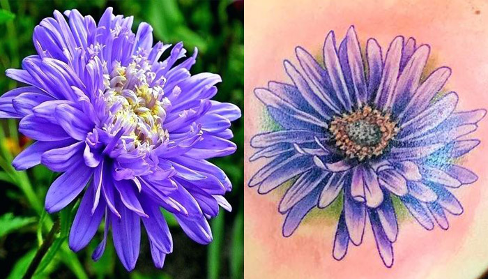 ❀ 35+ Best Aster Flower Tattoo Designs ❀ Meaning and Ideas for Girls and Men