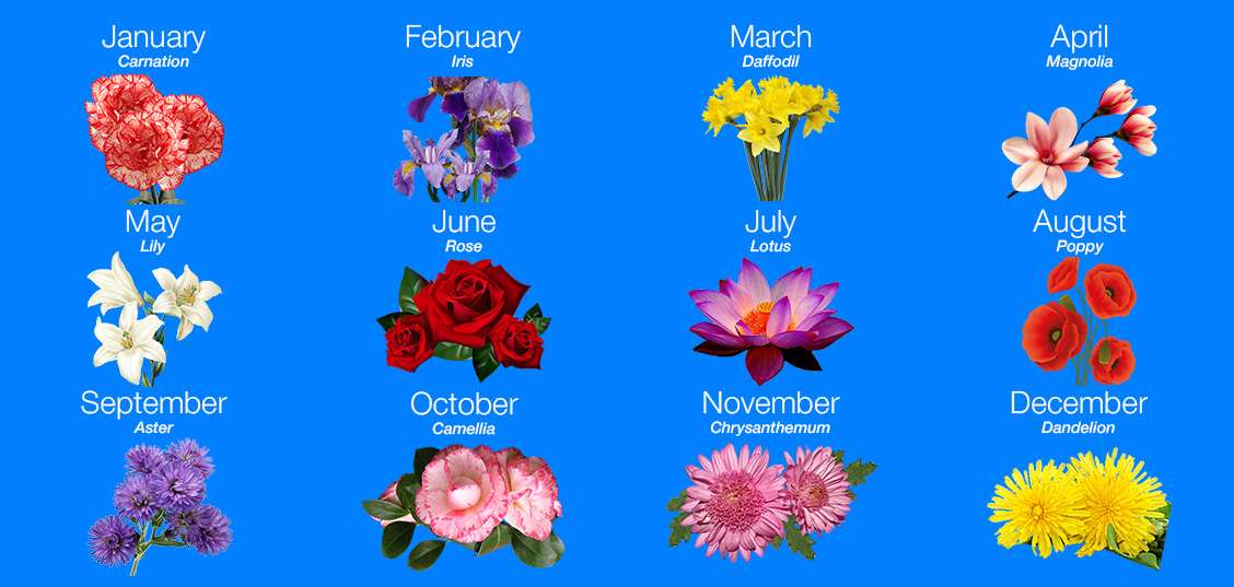 ❀ Birth Month Flower Tattoo Designs ❀ Meanings and Ideas