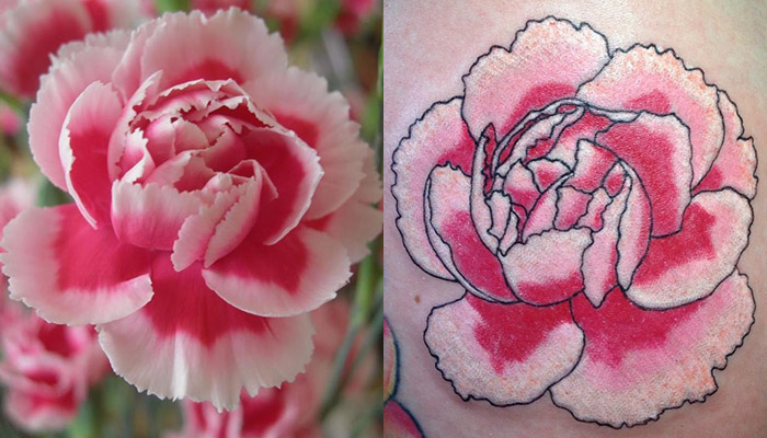 β 40+ Best Carnation Flower Tattoo Designs β Meaning of Pink, White, Yellow, Red Colors β 40+ Best Carnation Flower Tattoo Designs β Meaning of Pink, White, Yellow, Red Colors
