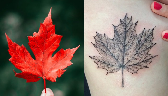 ❀ 75+ Best Japanese and Canadian Maple Leaf Tattoo Designs ❀ Meaning and Id...