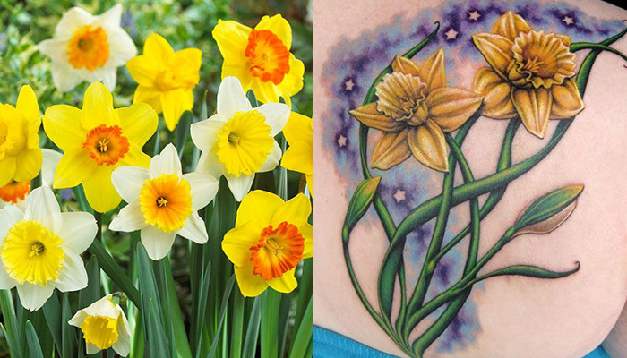 ❀ 80+ Best Daffodil or Narcissus Flower Tattoo Designs ❀ Meaning and Ideas