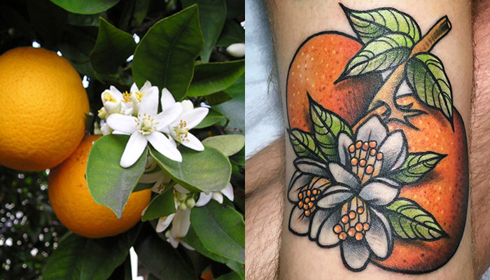 10. Orange Blossom Tattoo - wide 7