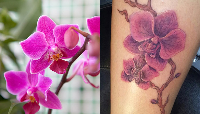 Cattleya flower tattoo meaning