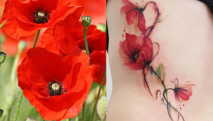 ❀ 90+ Best Black and Red Poppy Flower Tattoo Designs ❀ Meaning and Ideas