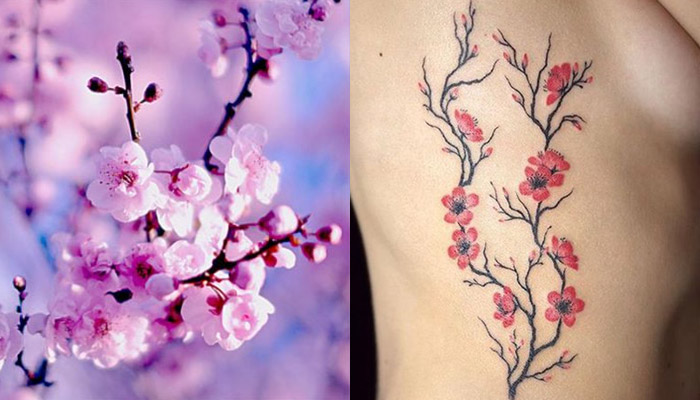 105 Cherry Blossom Tree Tattoo And Japanese Sakura Branch Designs Meaning And Ideas