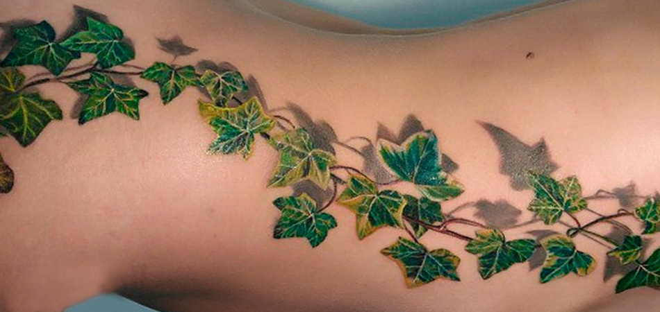 Vine flower tattoo designs ❀ Flower tattoos designs and meanings.