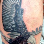 Eagle Tattoo