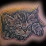 Sleep Kitten Tatoo