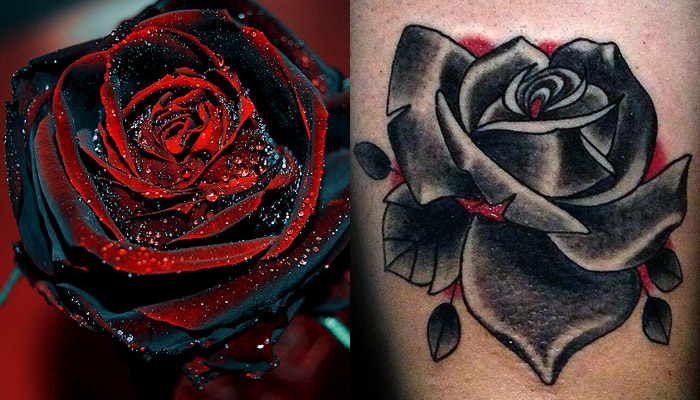 90+ Best Black Rose Tattoo Designs Meaning and Ideas for