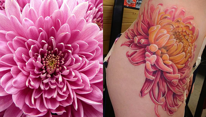 Chrysanthemum for Abi ! Done at Philly tattoo convention @villainarts . . .  . #chrysanthem… | Chrysanthemum tattoo, Chrysanthemum flower tattoo,  Crysanthemum tattoo