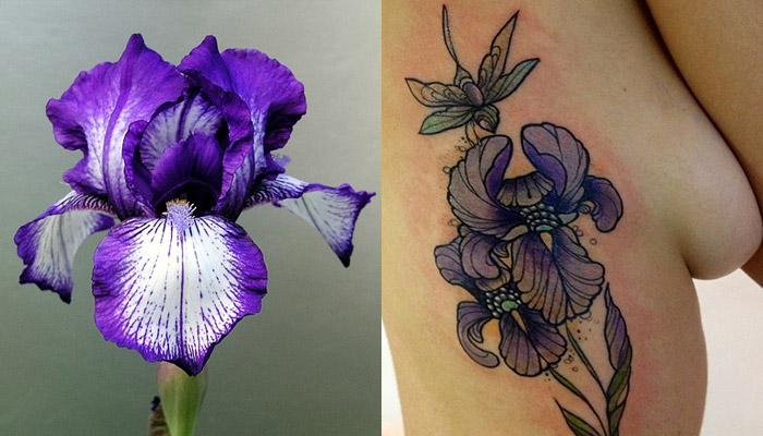 blue and purple iris flower tattoo meaning and ideas