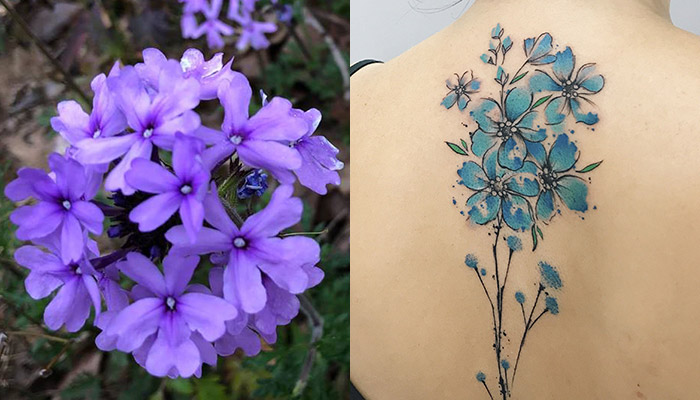 verbena flower tattoo designs